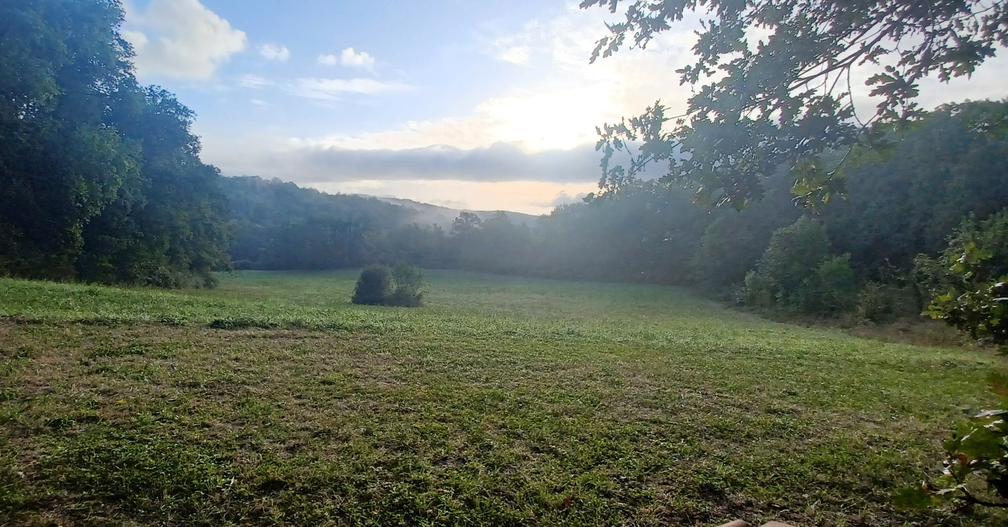 350800370 1717452665370967 3441912727195707287 n